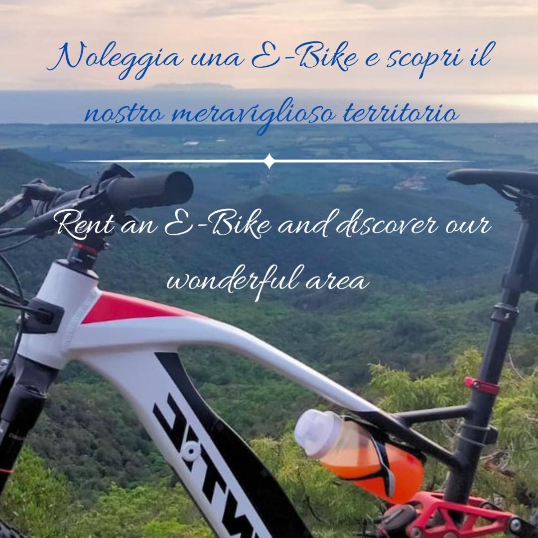 Podere San Filippo B&B-Apartment-Pet Friendly-Rent Bike And Bike Friendly Bibbona Buitenkant foto