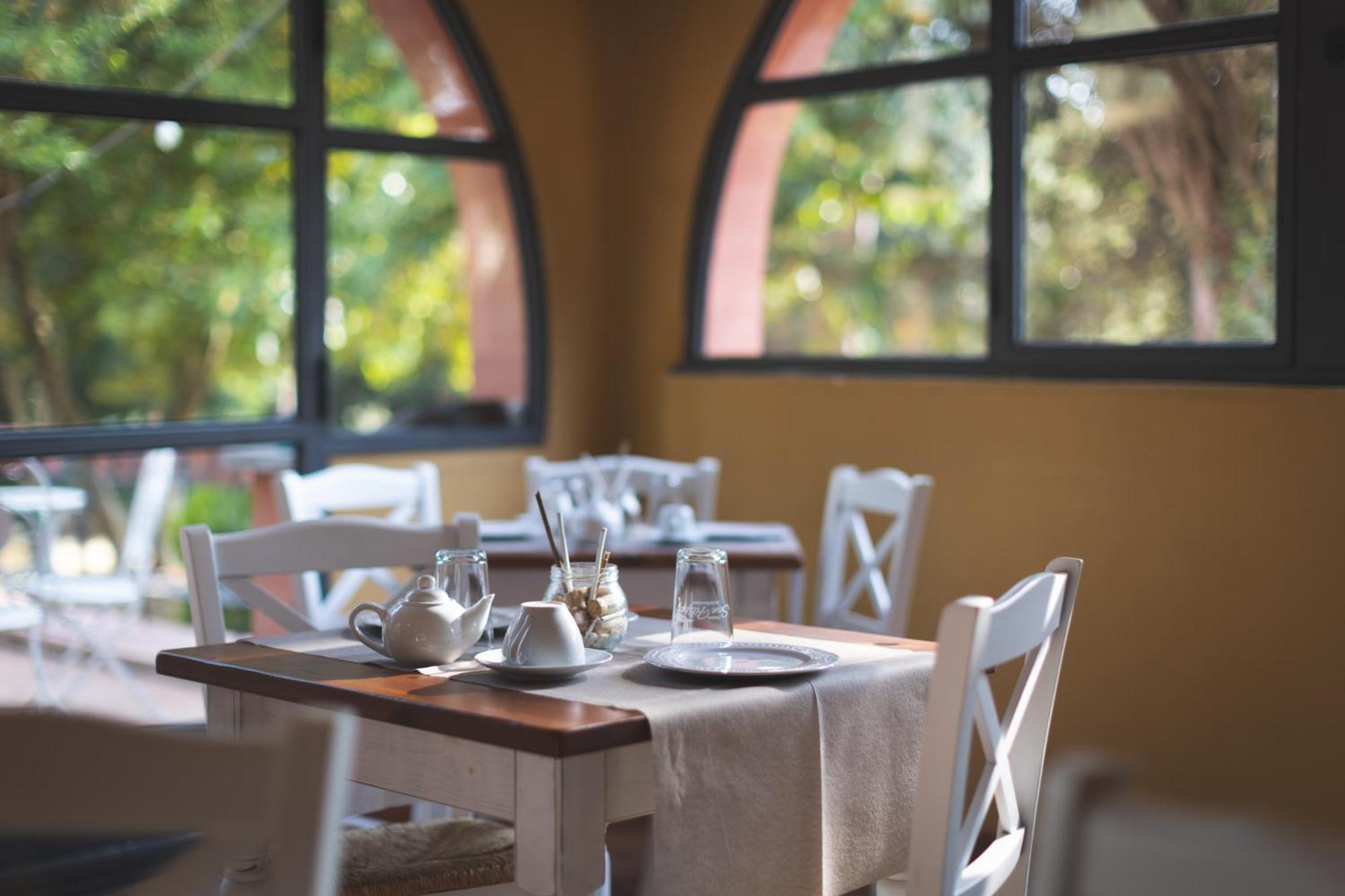 Podere San Filippo B&B-Apartment-Pet Friendly-Rent Bike And Bike Friendly Bibbona Buitenkant foto